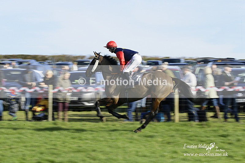 PtP 300122 198 - South Dorset Hunt - Point-to-Point Races 30/01/2022
