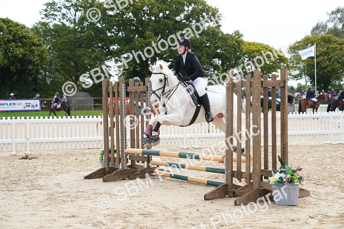 SBM_03331 - J55 - Clear Round 60cm