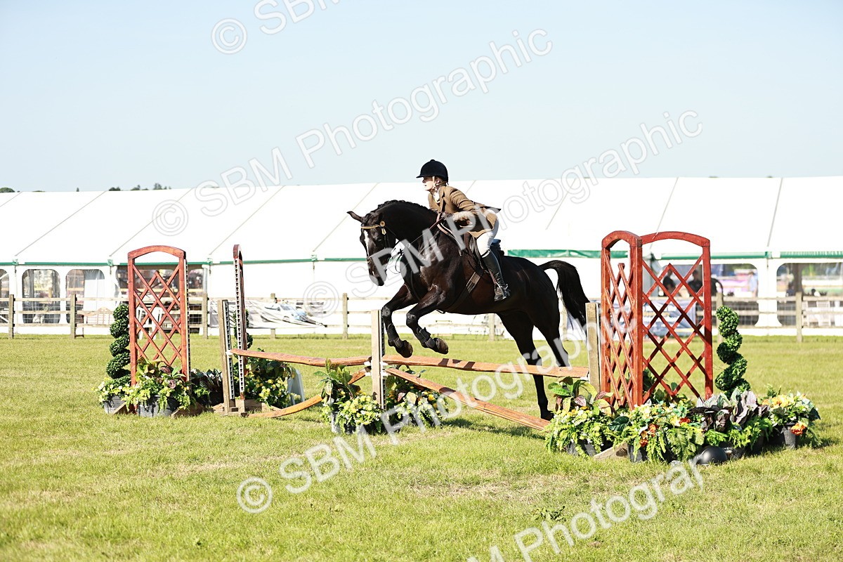 SBM_19159 - Class 115-116 - LIHS BSHA Rising Star Working Hunter & Show Horse