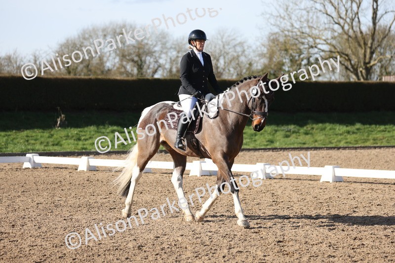 20260214-0507 - Class 5 - Novice 3