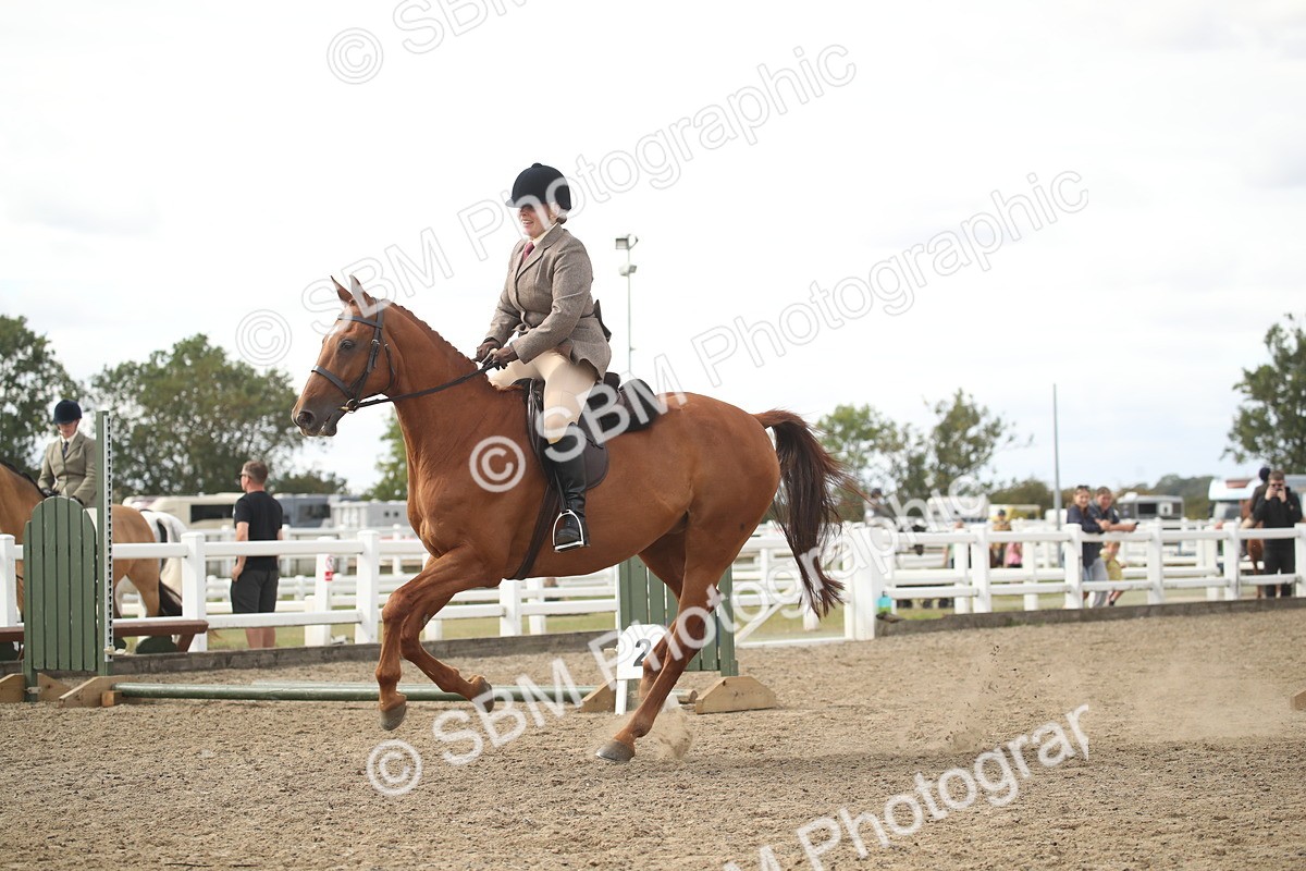 SBM_15299 - Class 506b - Working Veteran - 50cm (20+)