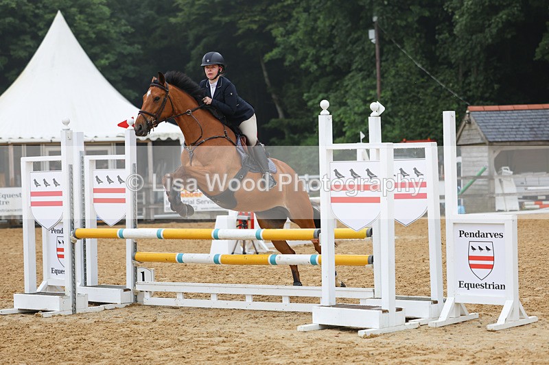 3E7A5329 - Class 4: Senior British Novice/90cm open