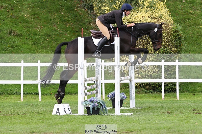 231022-140138-28019 - 462-SILVER.BAY-Marshall.David.Johnson-TrotUp+SJ