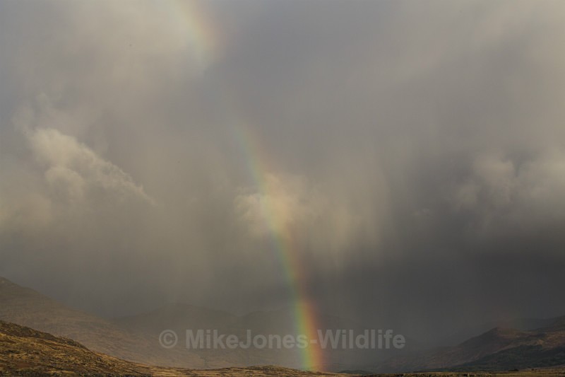 Isle of Mull Landscape photography - ISLE OF MULL LANDSCAPE PHOTOGRAPHY
