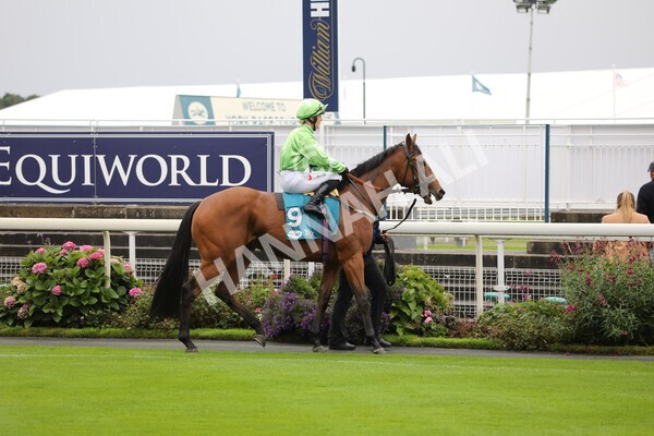 yr07102022r1-1 - Race 1 2.05pm Parsonage Hotel and Cloisters Spa Stakes