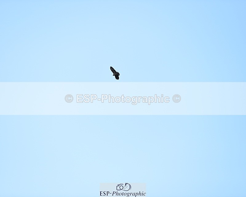 231014A-112612-04027 - Cls 13 85cm Amateur Q 2nd R