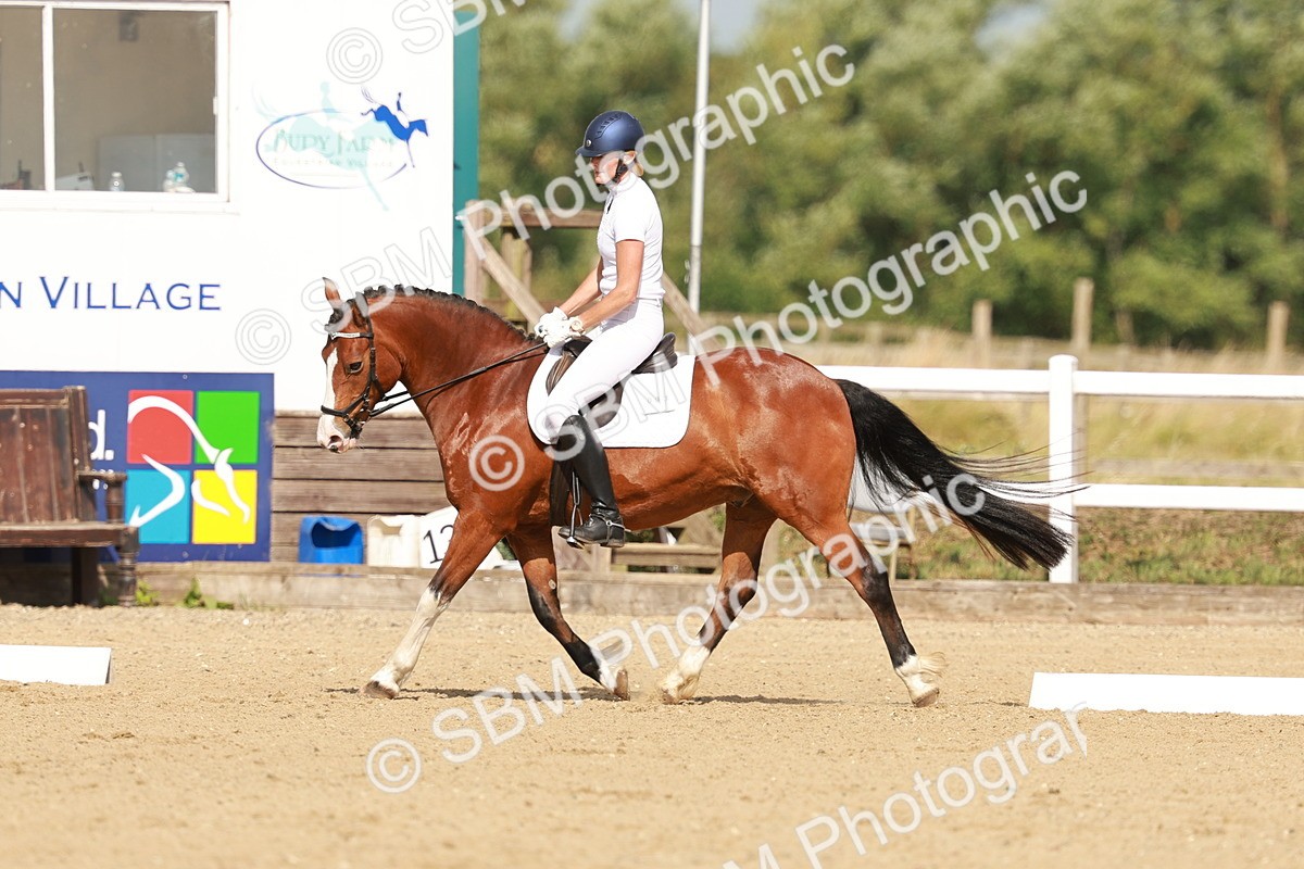 SBM_021327 - Class 13 - N5