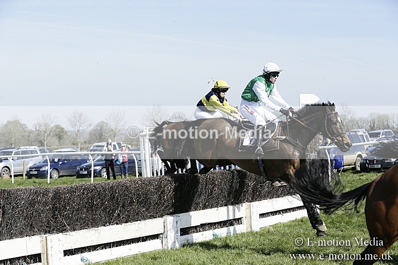 PtP 260317 73 - Mendip Farmers Point-to-Point Ston Easton 26/03/17