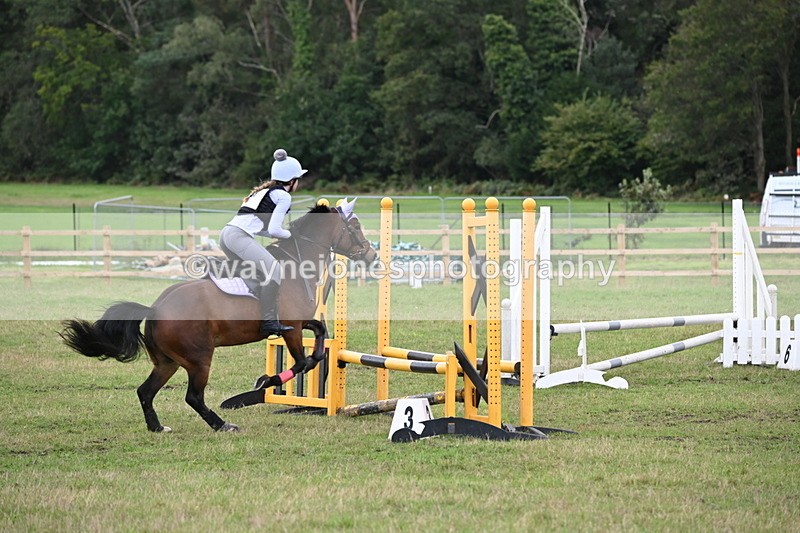 WJ6_1723 - 60cm Time 12:11 to 12:28