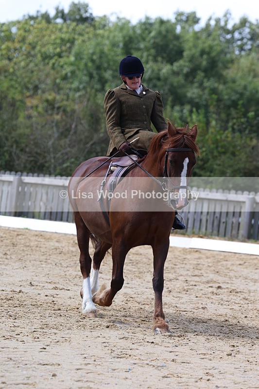 3E7A3606 - Class 7:  Preliminary Music