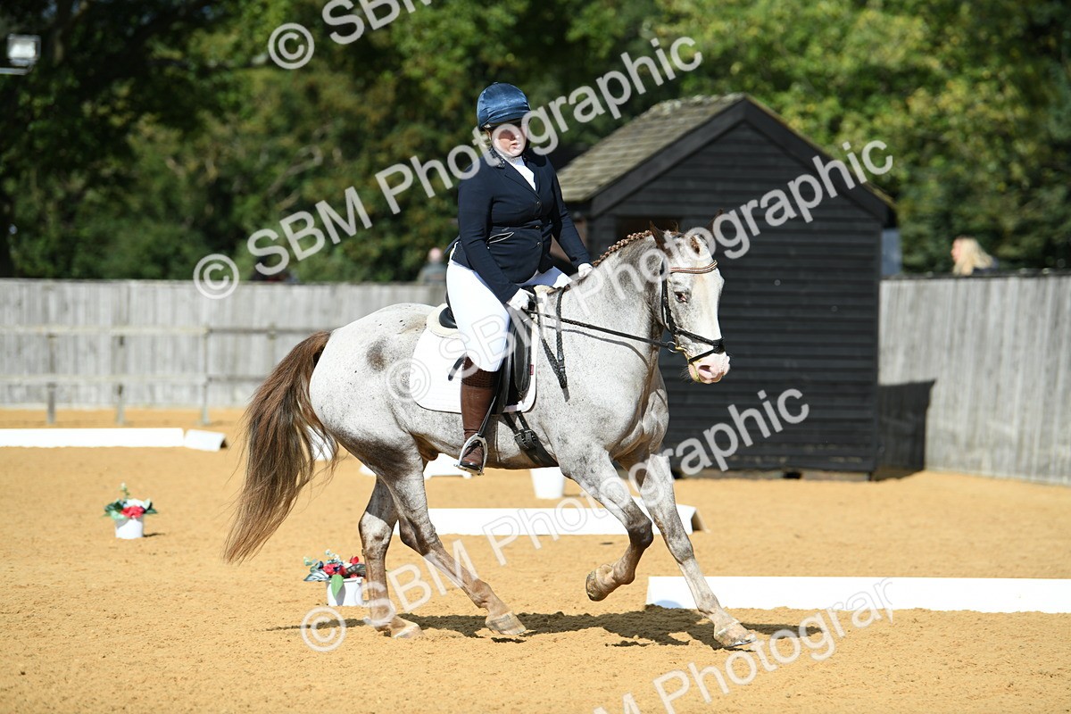 SBM_09808 - D15 Small Tour Championship Novice 24