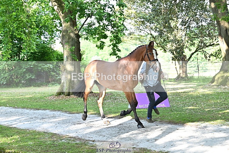 250521A-164538-01313 - C-257-Mark.Davidson-NO.LIMITS.DAMERLOO