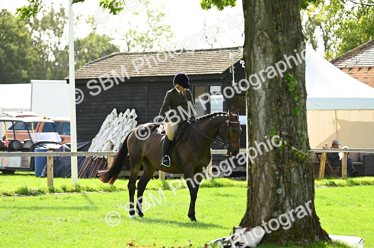 SBM_01797 - S2 - TSR Ridden Horse Showing