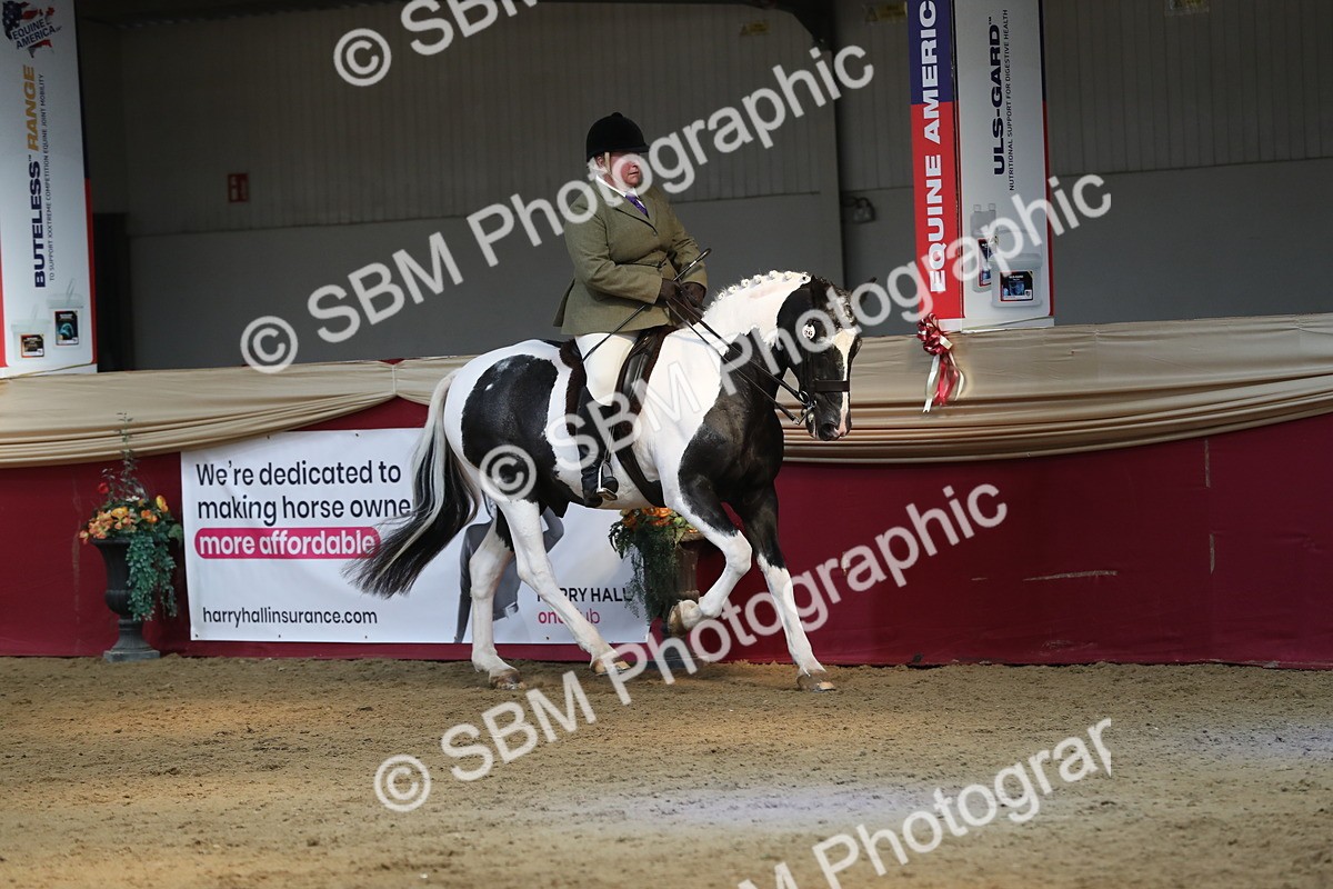 SBM_07200 - Class 10R Regional Ridden Diamond