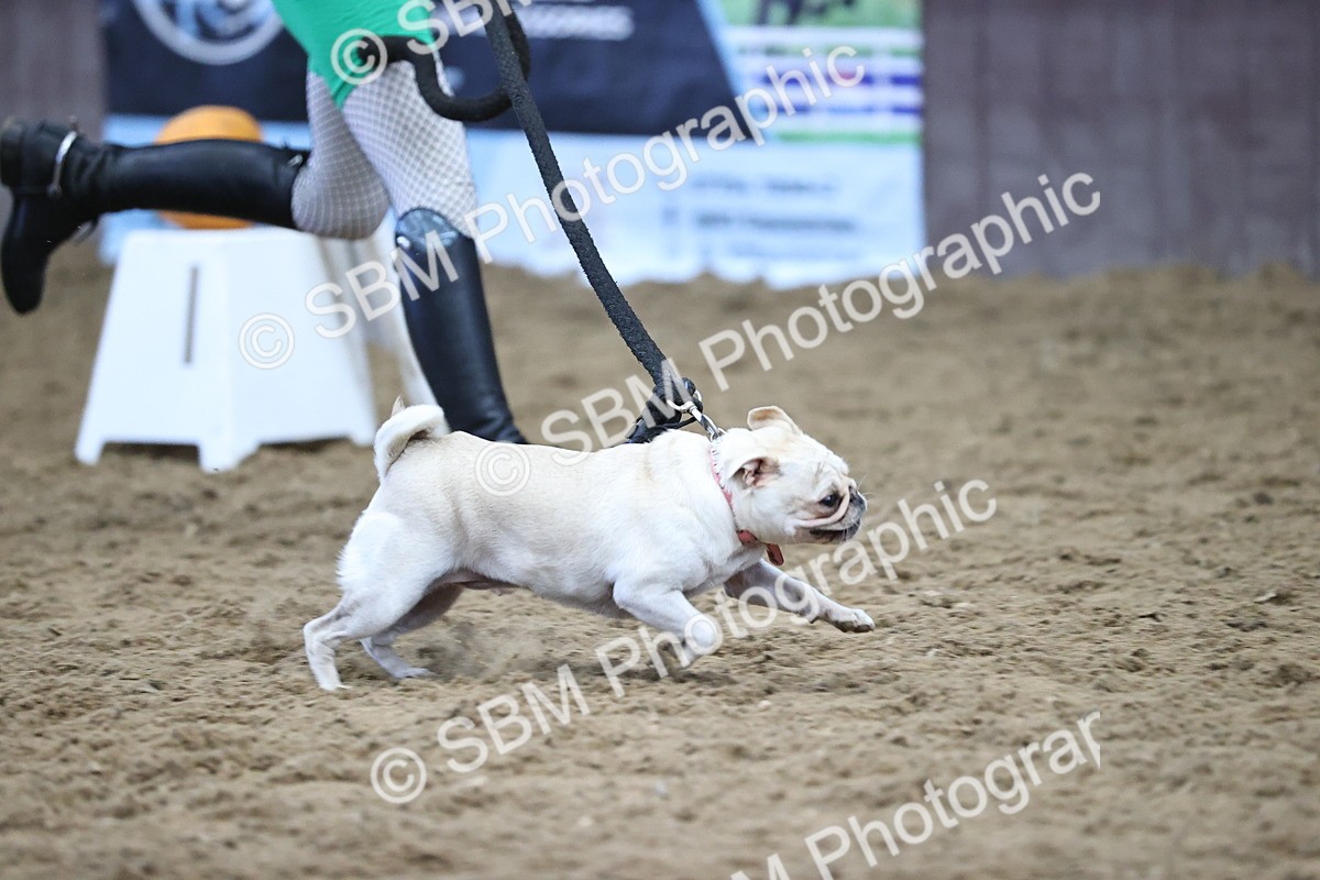 SBM_001658 - Class 3 - Horse & Hound 60cm