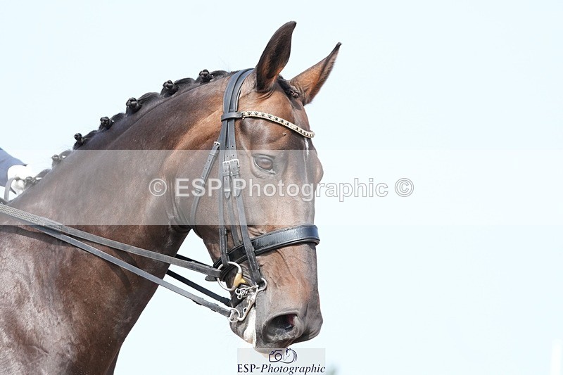 250815-112308-00826 - 013-Chloe.CocksIndulgence