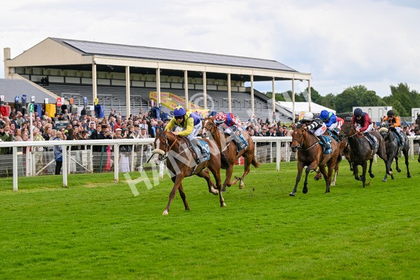 140624-Race 5-Ron O-4851 - Race 5 4.10pm Juddmonte EBF Fillies Restricted Novice Stakes