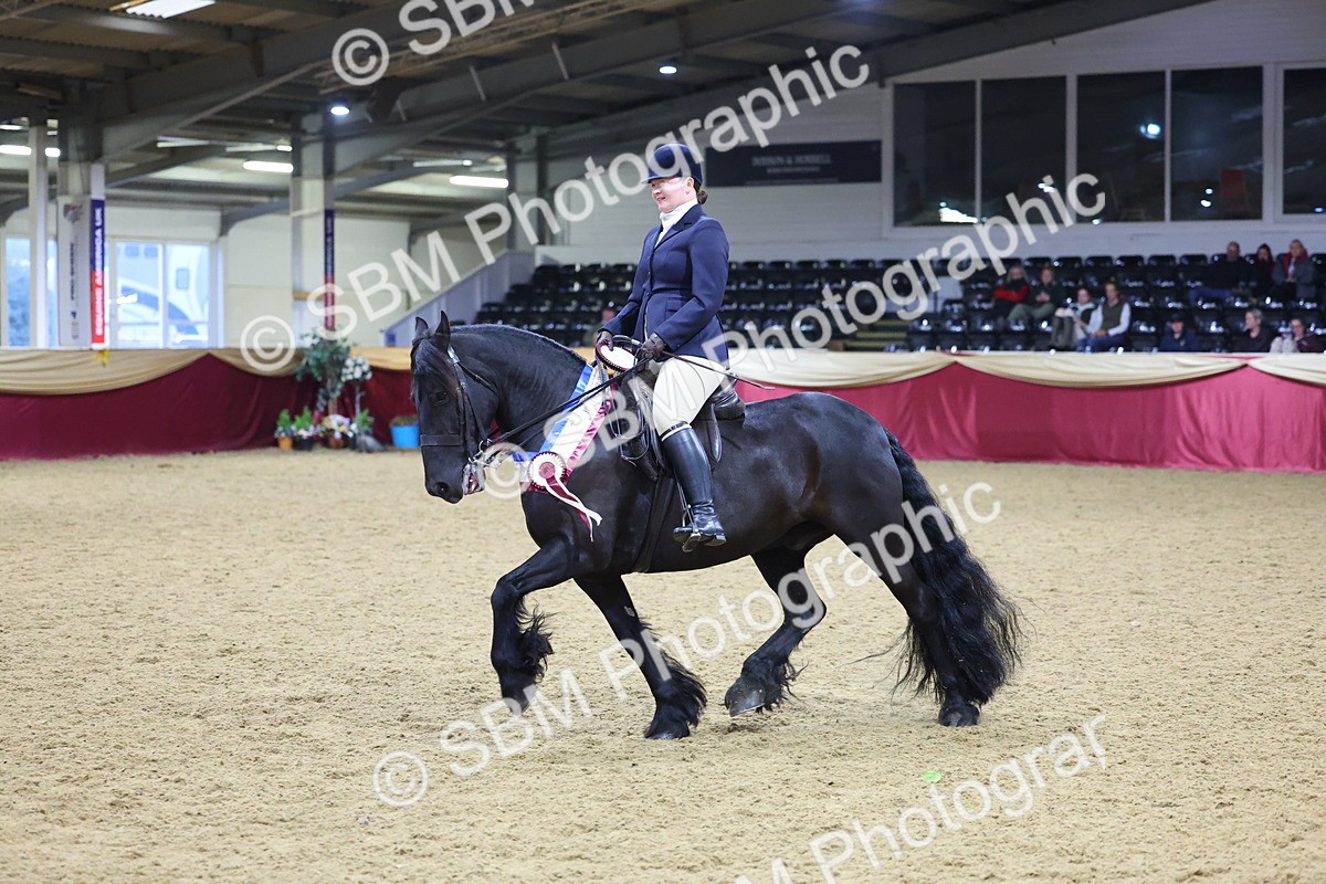 SBM_19306 - Class K Equitation Champ
