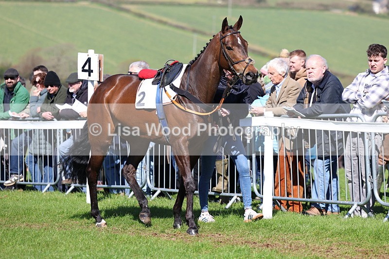 3E7A5284 - Race 4:  Maiden