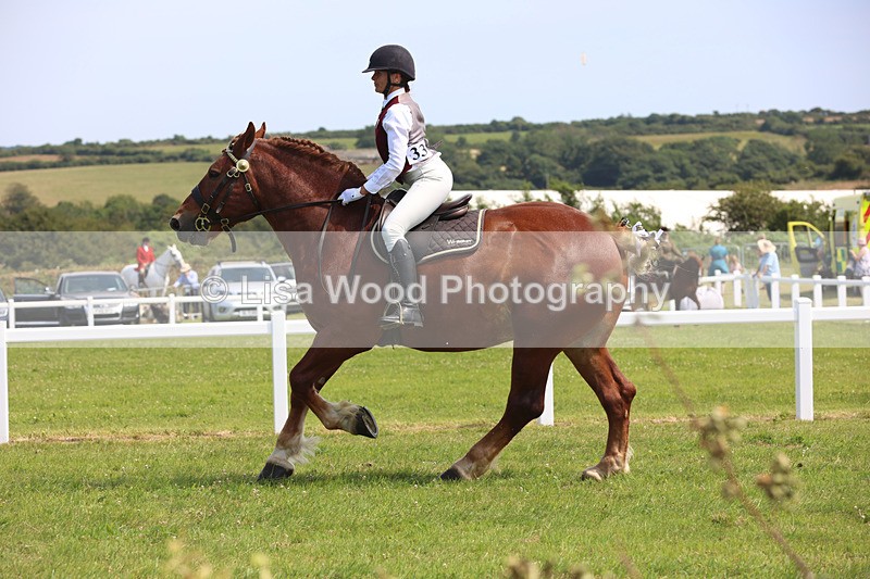 JPP_3539 - Class 15: Heavy Horse Ridden