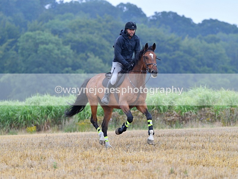 WJ5_2462 - Sofian Francis