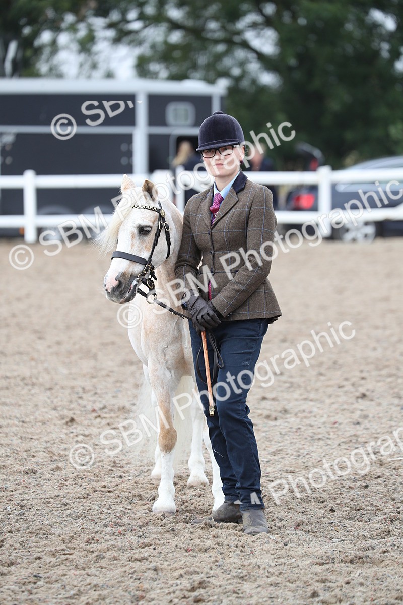 SBM_22559 - Class 604 - 2025 Area - IH Diamond