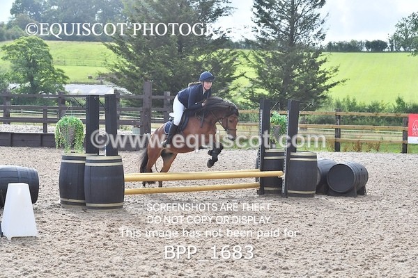 BPP_1683 - DERBY CLASS 4 - 50CM