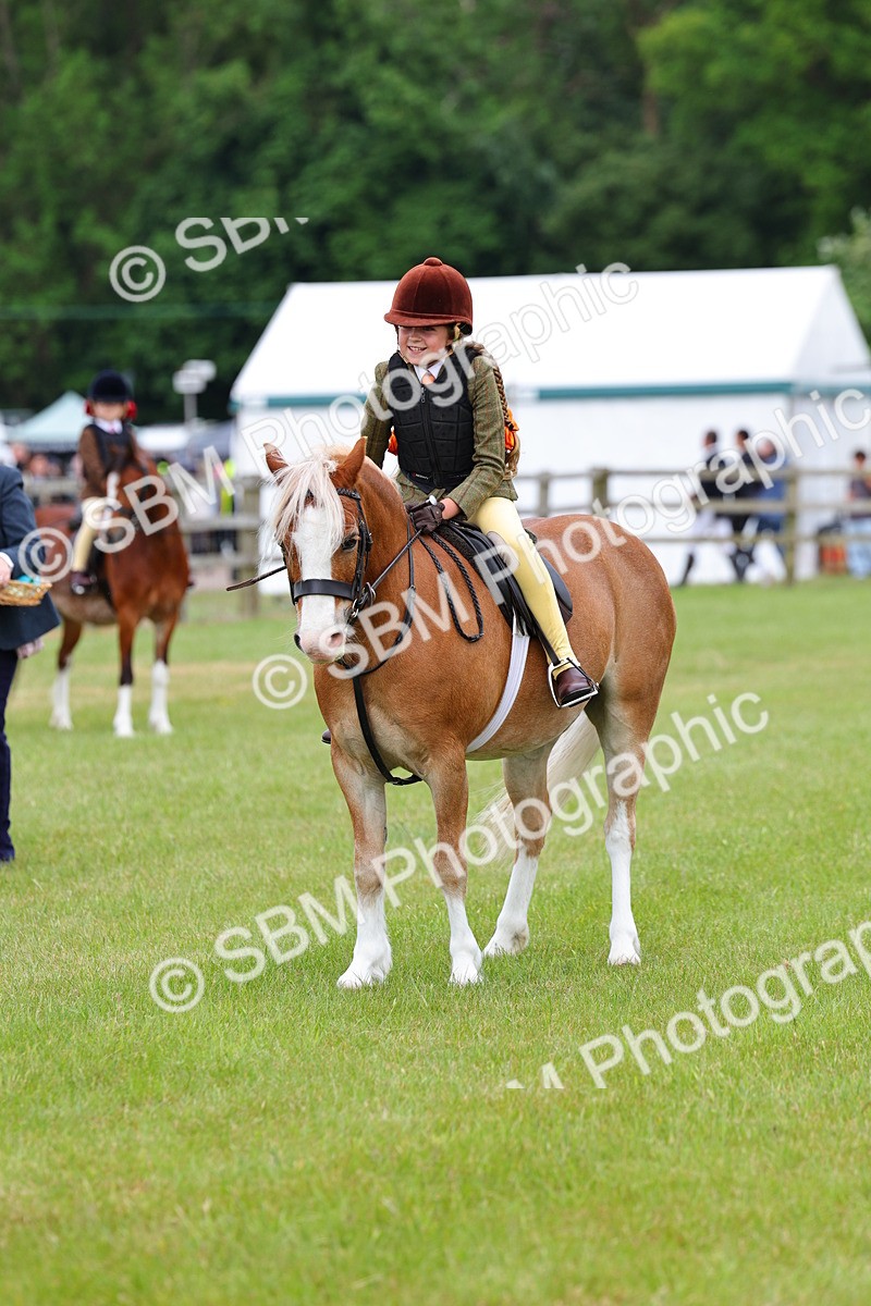 SBM_08750 - Class 42-43 - LIHS BSPS Heritage Working Sports Pony