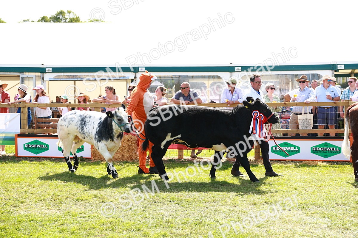 SBM_08425 - Grand Parade
