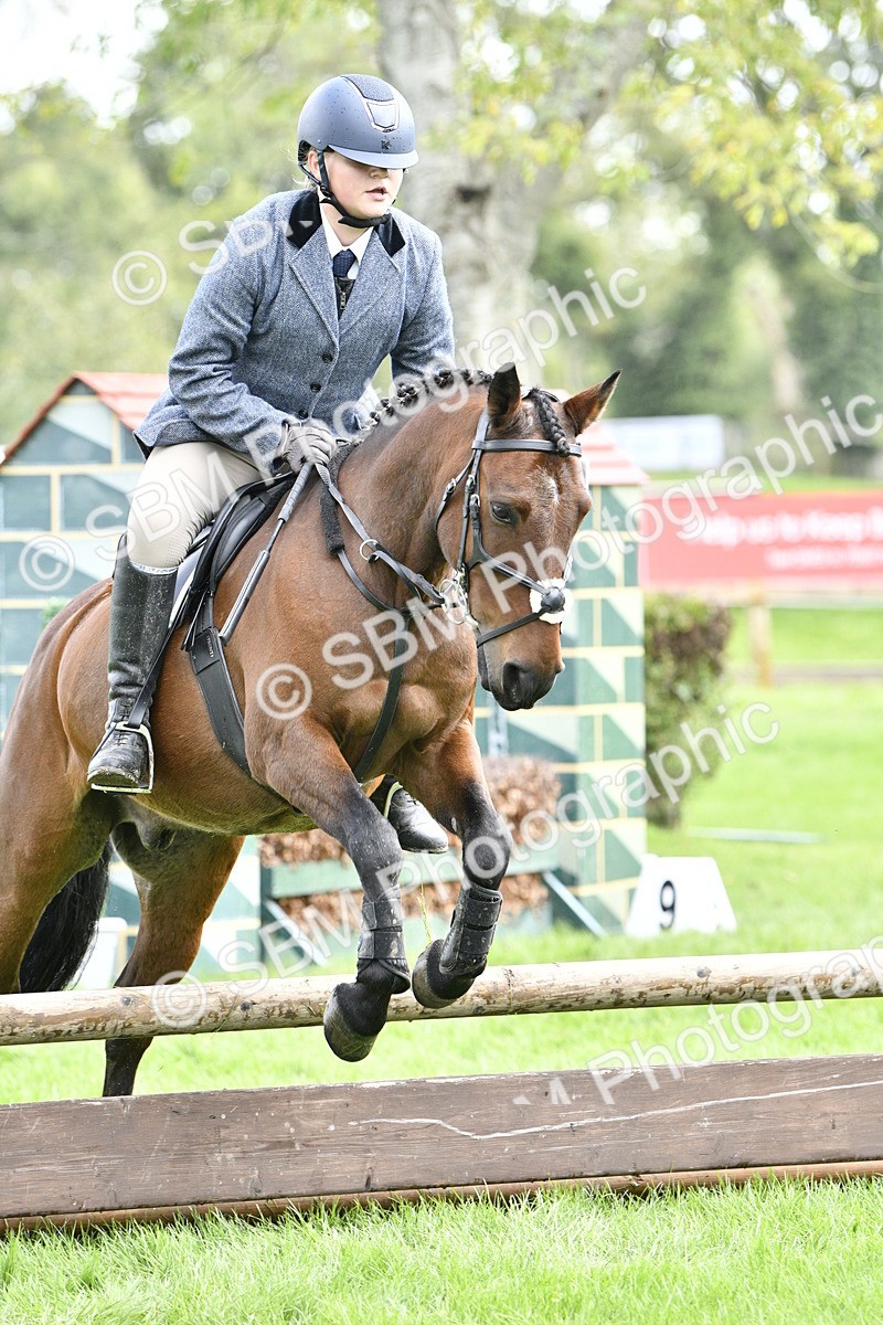 SBM_45629 - S33 - Working Hunter Pony