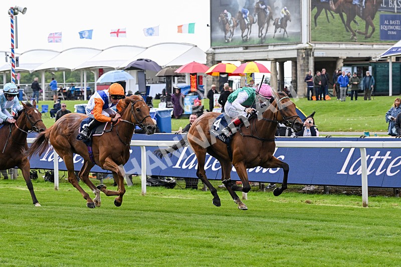 130526-Race 5-Legacy Link-3253 - Race 5 4.05pm Tattersalls Musidora Stakes