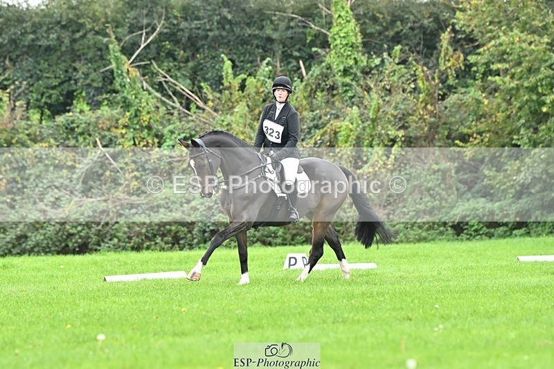 241024-121215-02655 - 323-Nicky.Blastland-FOUNDATIONS.HUSTLER