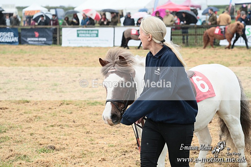 SHETPR 210425 8 - Shetland Ponies Paxford Races 21/04/25
