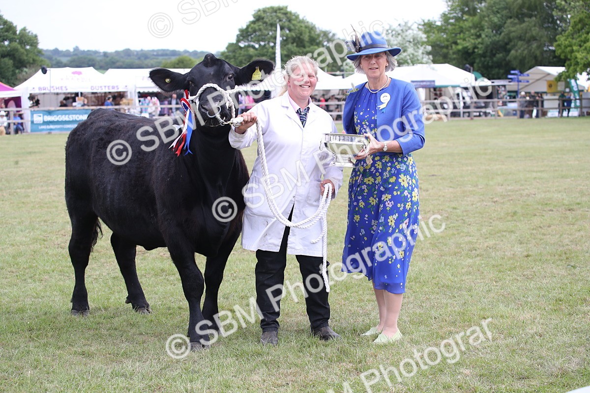 SBM_07944 - Grand Parade