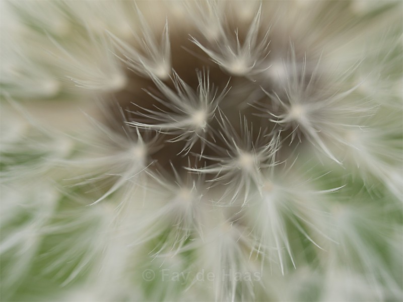  - Nature's Wonders