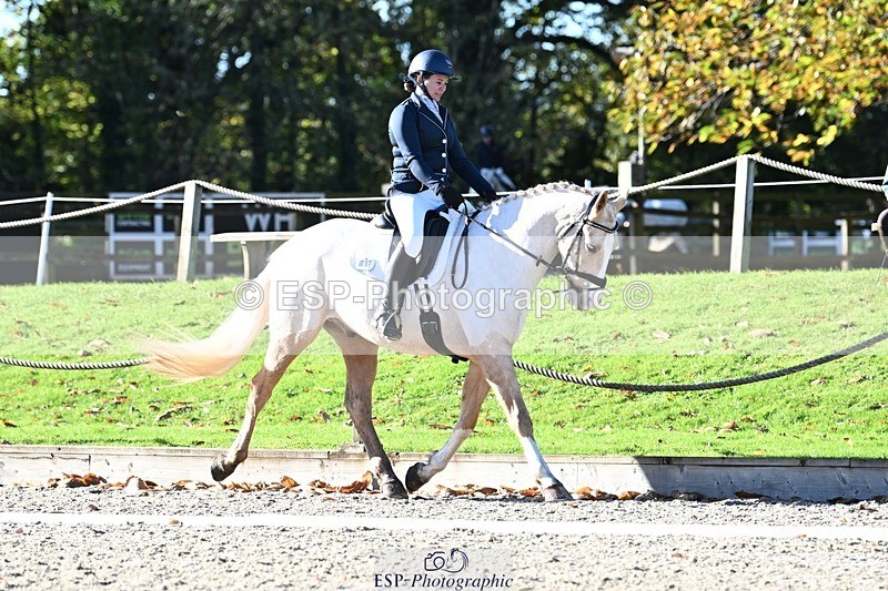 231110-111101-00341 - Cls 2 Prelim 17(a)Q