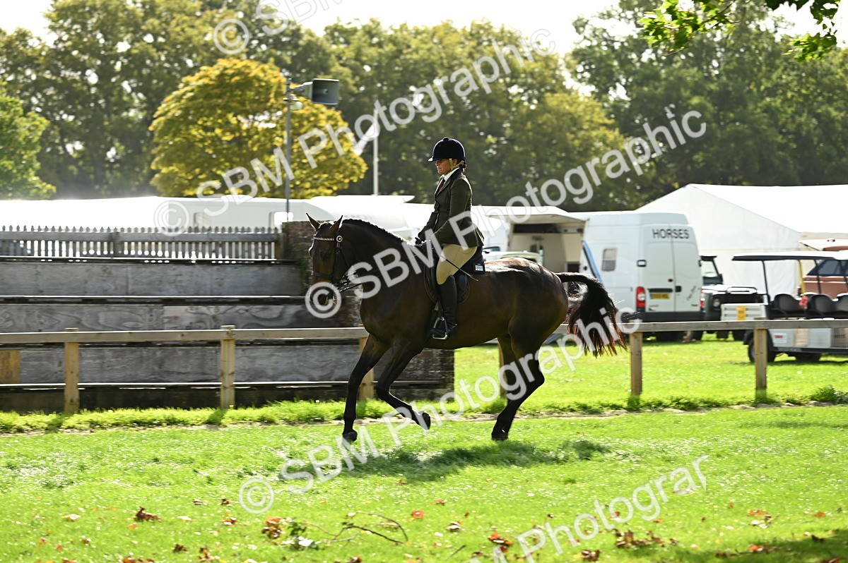 SBM_01761 - S2 - TSR Ridden Horse Showing