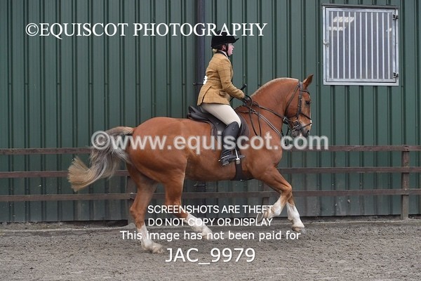 JAC_9979 - CLASS 3 Intermediate Working Hunter (0.70m - 0.85m)