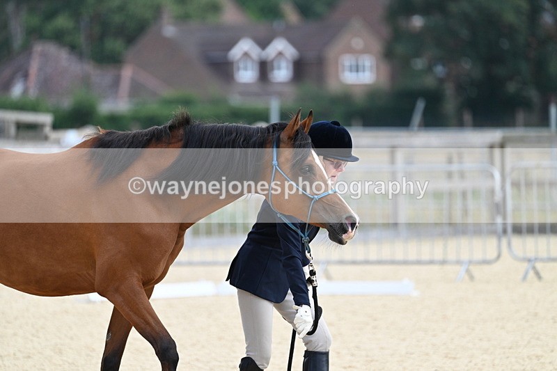 WJ7_1831 - In Hand