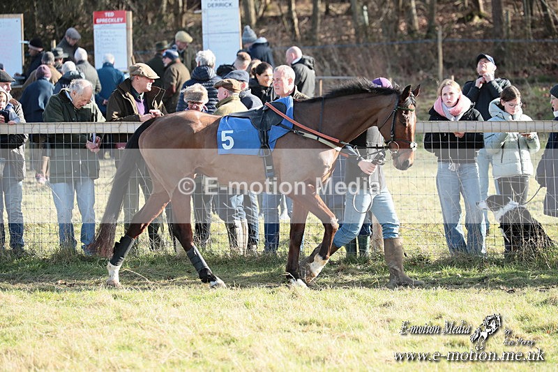 PtP 220225 779 - Kimblewick Point-to-Point  Kingston Blount 22/02/25