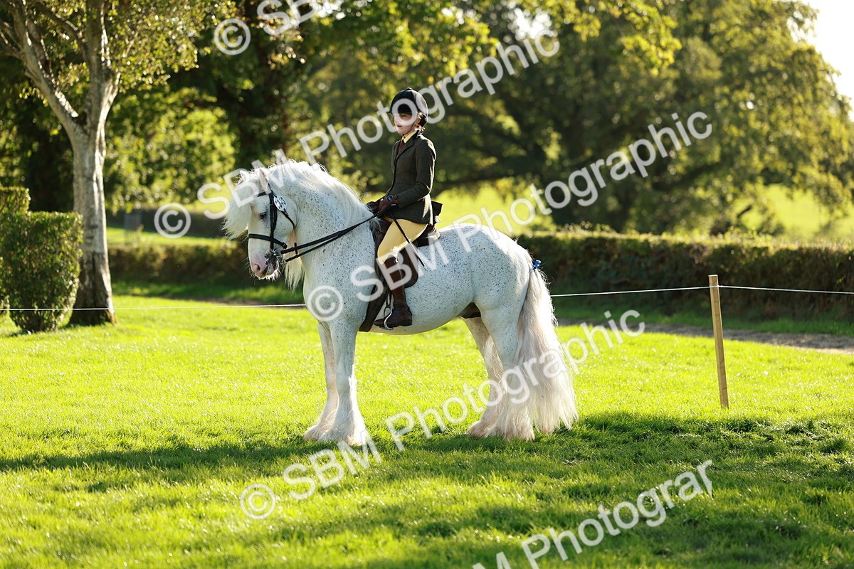 SBM_28735 - S7 - Novice & Newcomer Ridden Pony