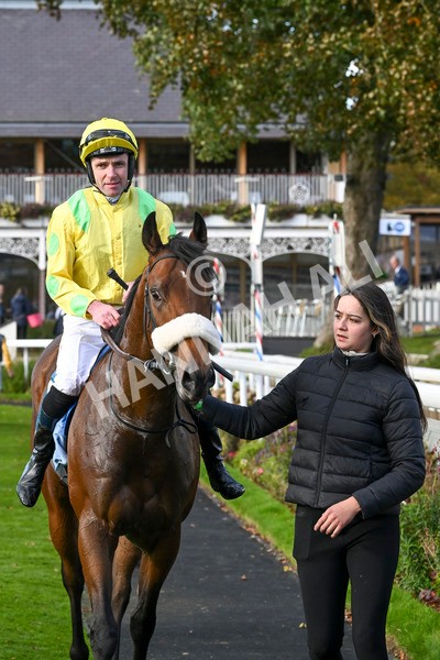 111024-Race 4-End Of Story-1874 - Race 4 3.10pm Parsonage Hotel And Cloisters Spa Nursery Handicap