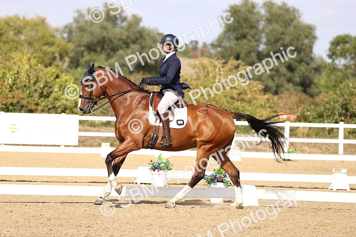 SBM_015203 - Class 8 - Medium 5