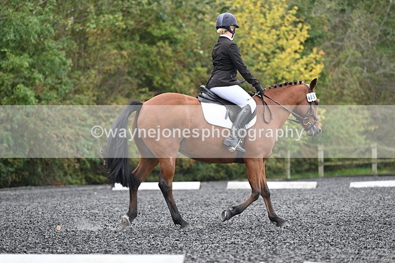 WJ7_2981 - Time 09:00 to 09:35