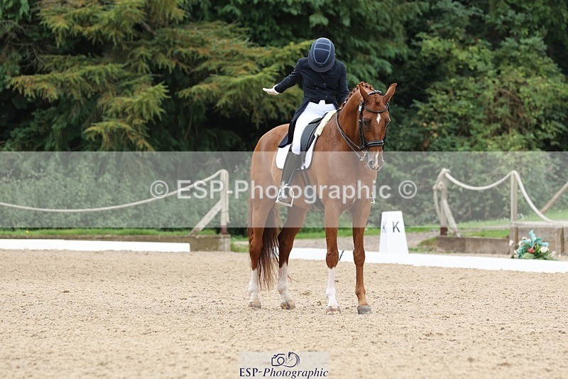 240810-133602-03355 - 188-Amanda.Towle.Shaw-Rockwood.Virtue