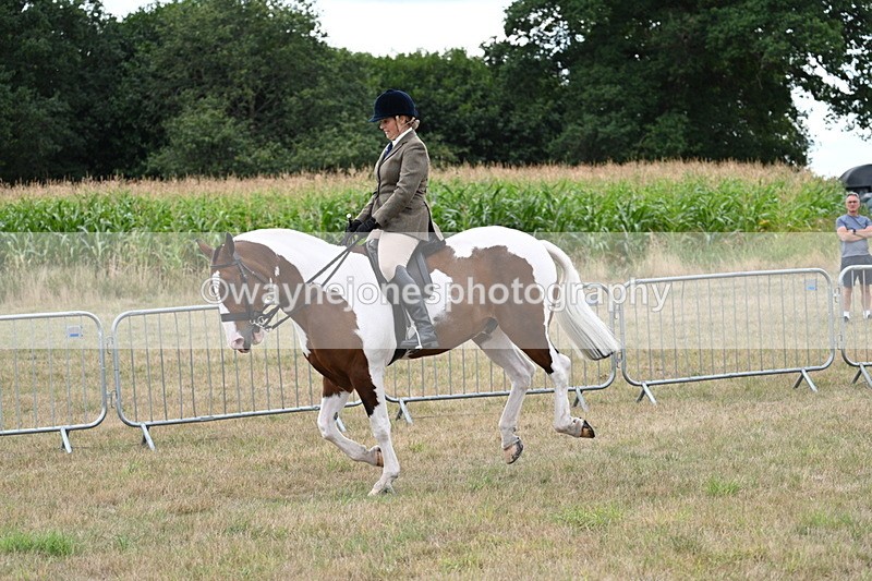 WJ7_5096 - Class 12 Ridden Cob