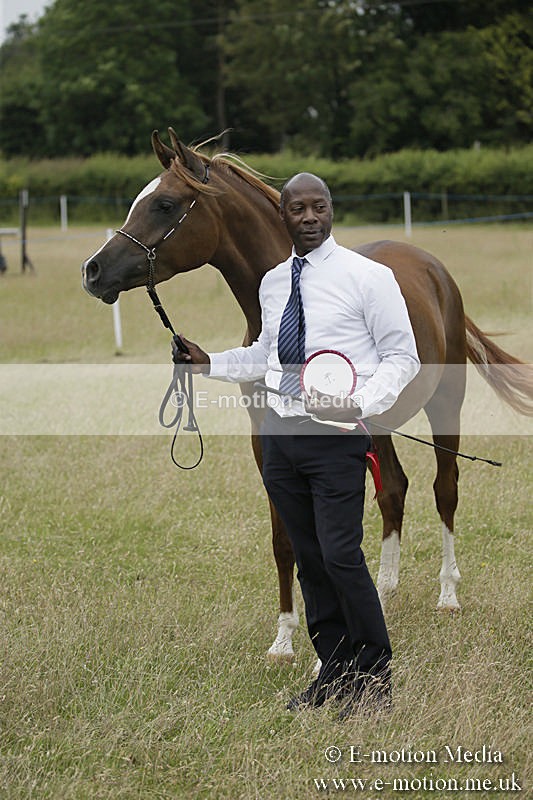 B230619-0856 - Bourne Valley Riding Club Summer Show 23/06/19