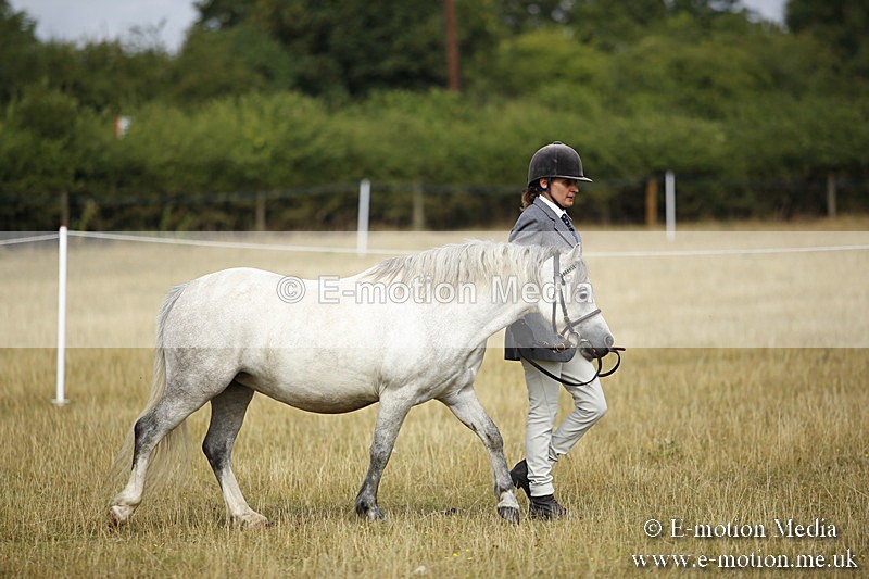 _C7A9189 - BVRC Sow 2018 Ring 2