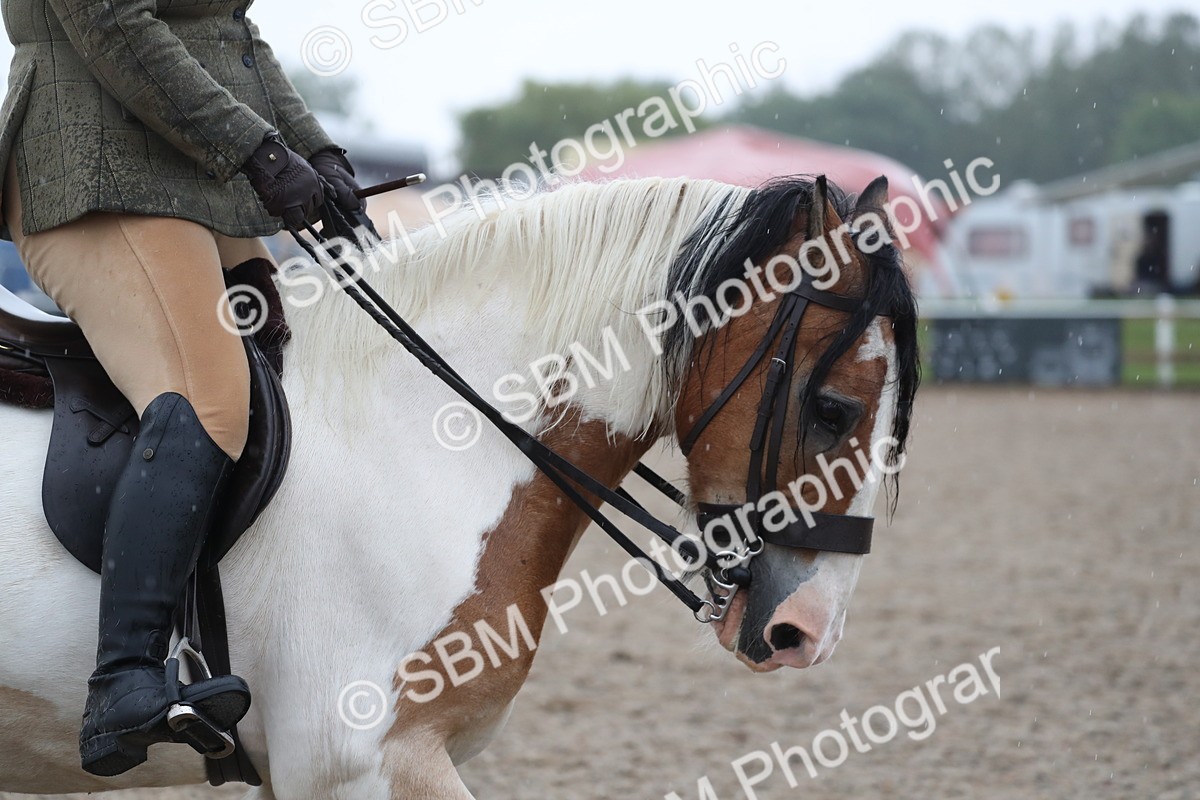 SBM_20478 - Class 601 - 2025 Area - Ridden Diamond