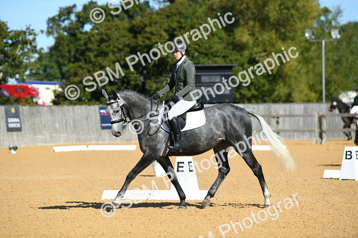 SBM_17948 - D4 - Small Tour Championship - Intro B